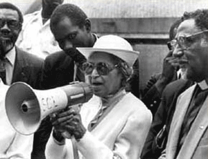 bullhorn.jpg